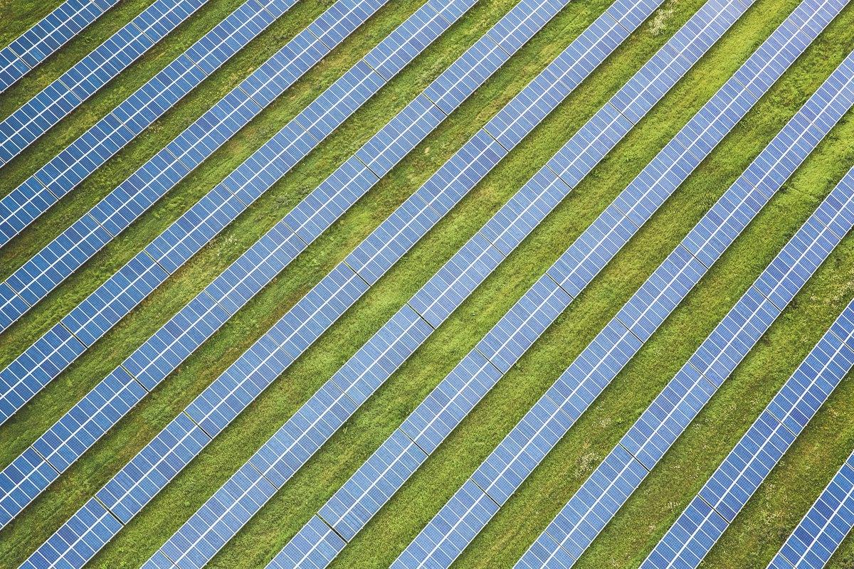 Rows of solar panels on green grass