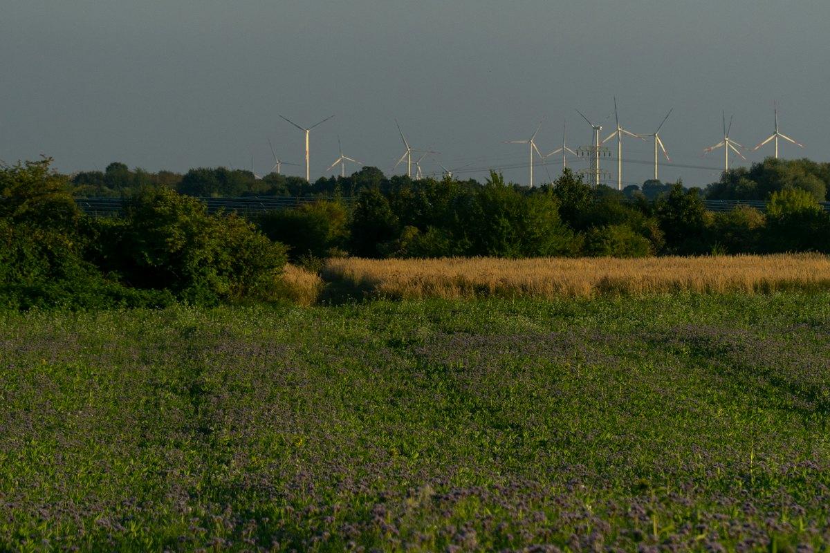Wind turbines beyond a green field